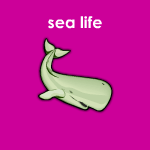 sea life